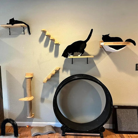 Wall-Mounted Wooden Cat Climbing Set with Hammock, Ladder, and Platform