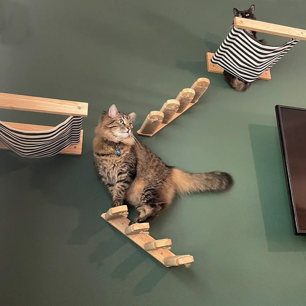 Wooden Wall-Mounted Cat Hammock and Scratching Post with Ladder Steps