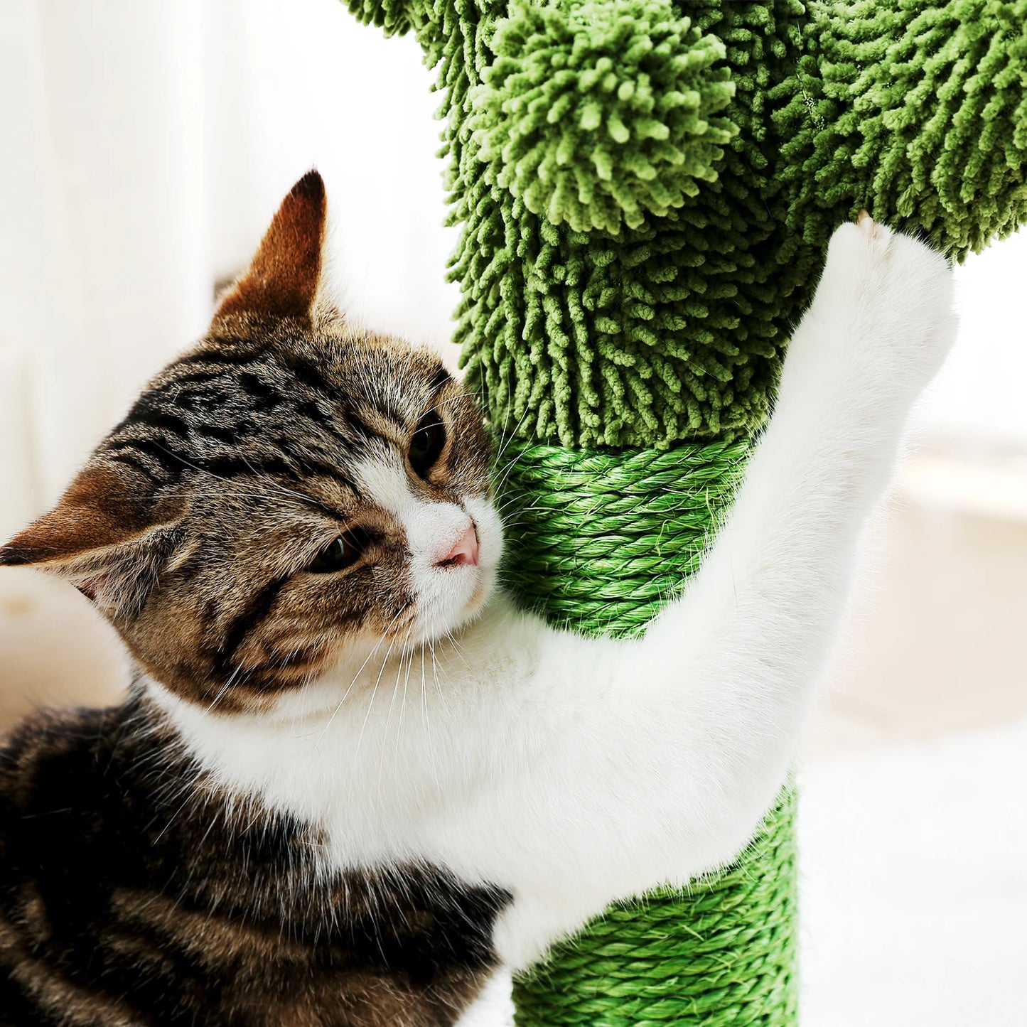 55cm Chic Cactus-Styled Cat Tree - Minimalist Design