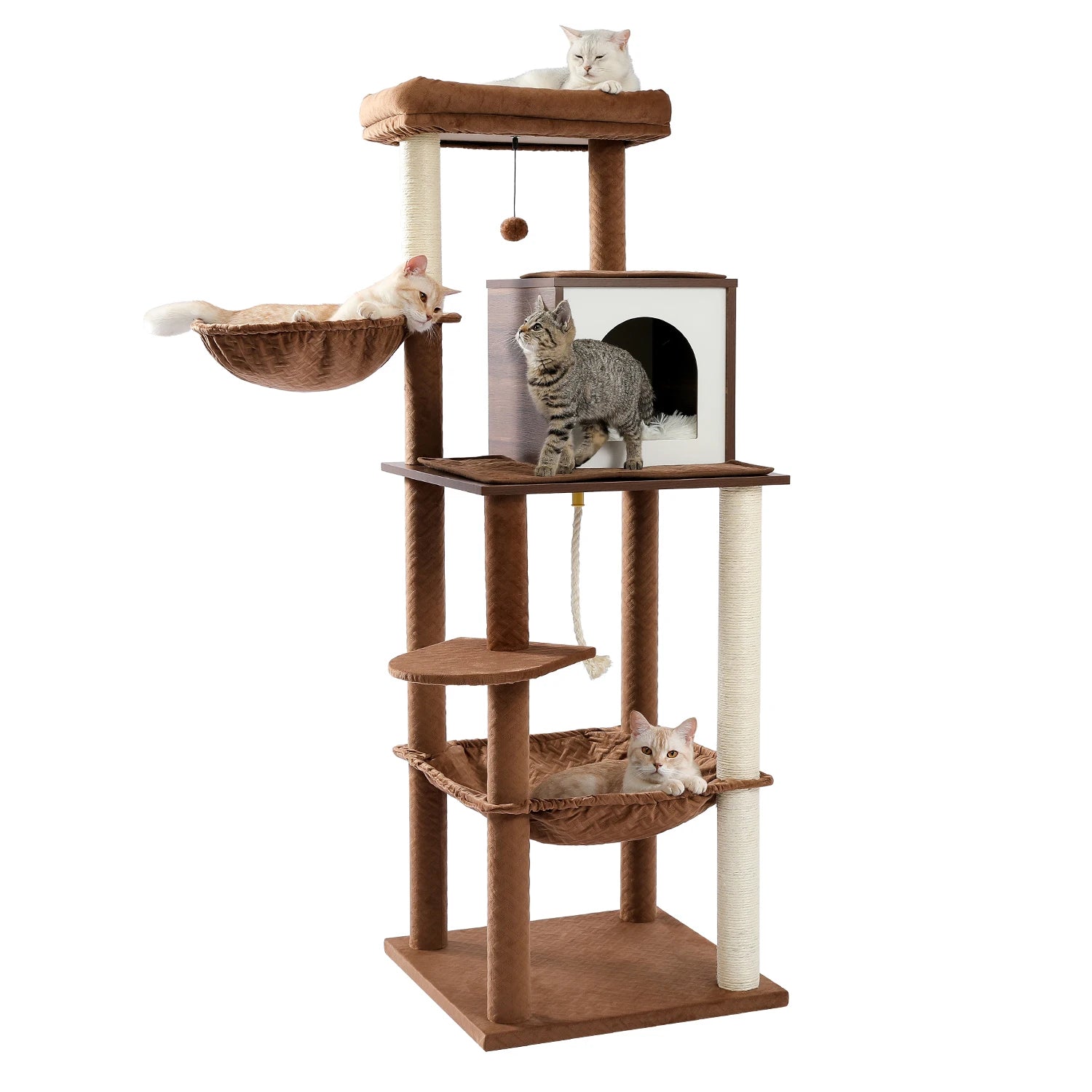 Ultimate 2024 cat condo