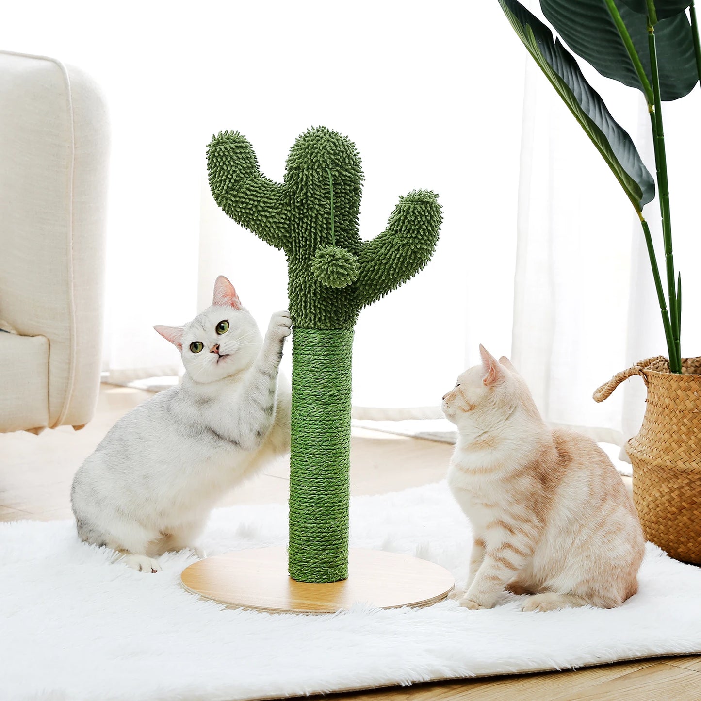 55cm Chic Cactus-Styled Cat Tree - Minimalist Design