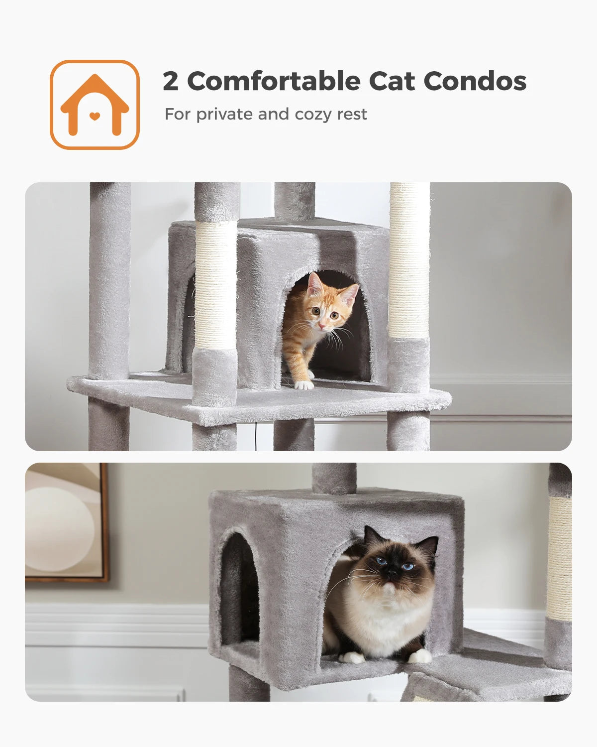 180cm Grand Multi-Level Cat Tree with Condo and Scratching Posts