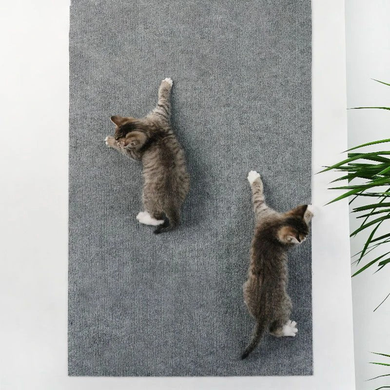 Self-Adhesive Cat Scratching Mat β Trimmable Carpet Protector for Sofa, Walls & Furniture