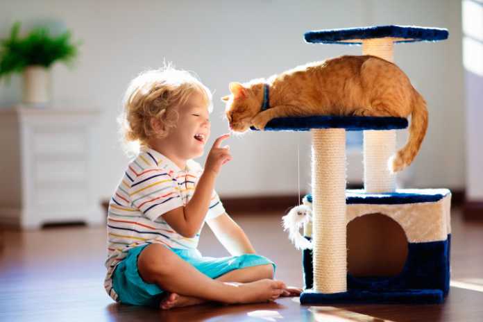 The Benefits of Cat Towers for Multi-Cat Households