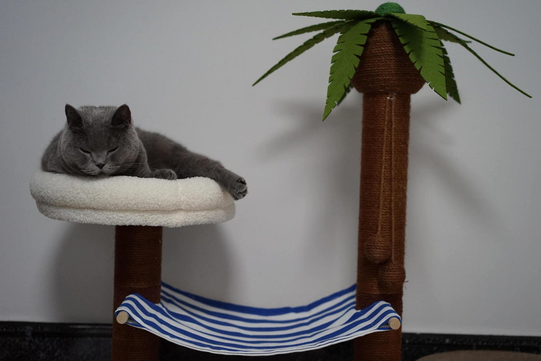 The Psychology of Cat Play: Understanding Cat Tree Attractions