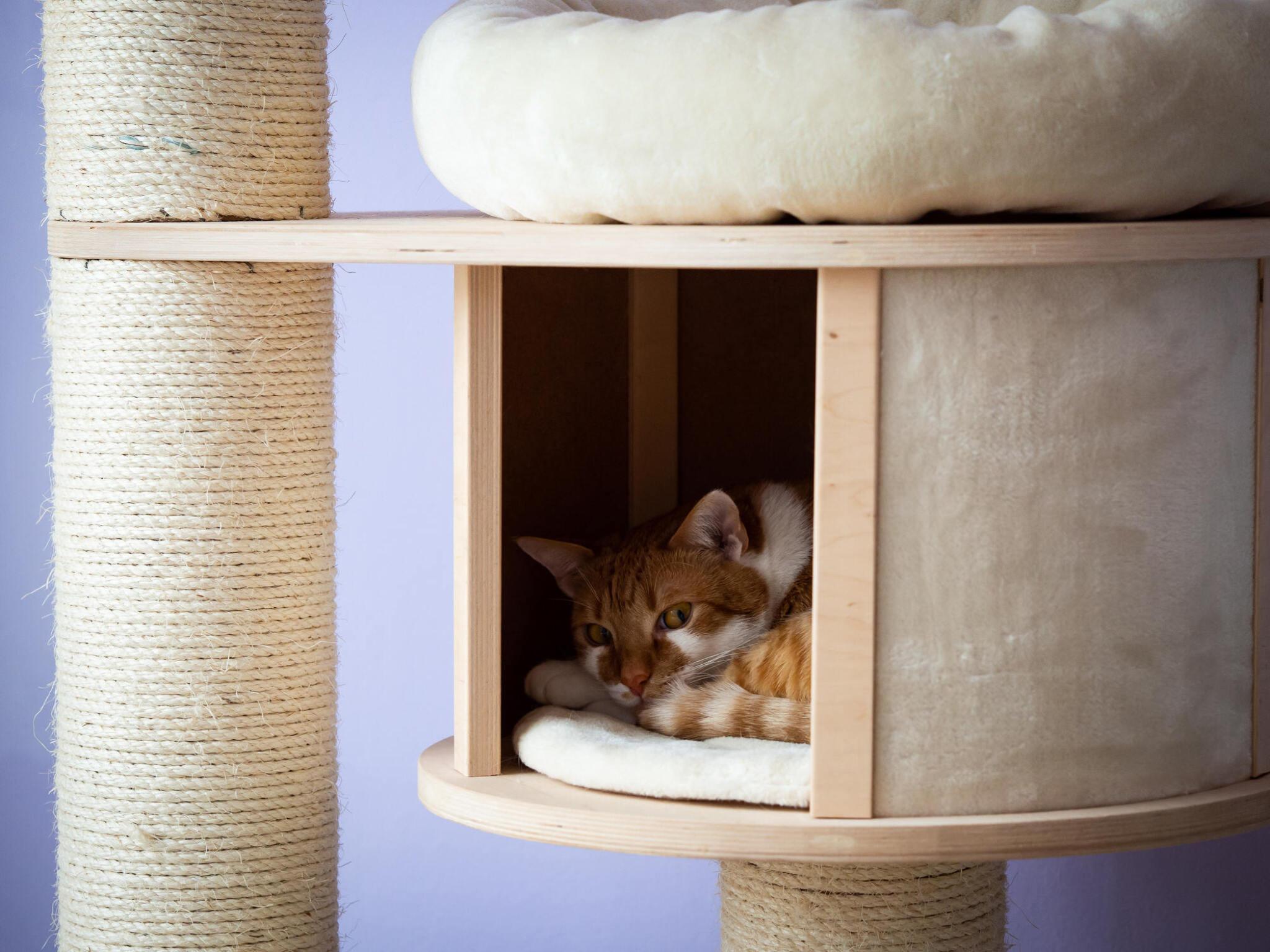Good Cat Tree Cat Trees In Cats , The 6 Best Cat Trees, Tested and Reviewed – LBBJ
