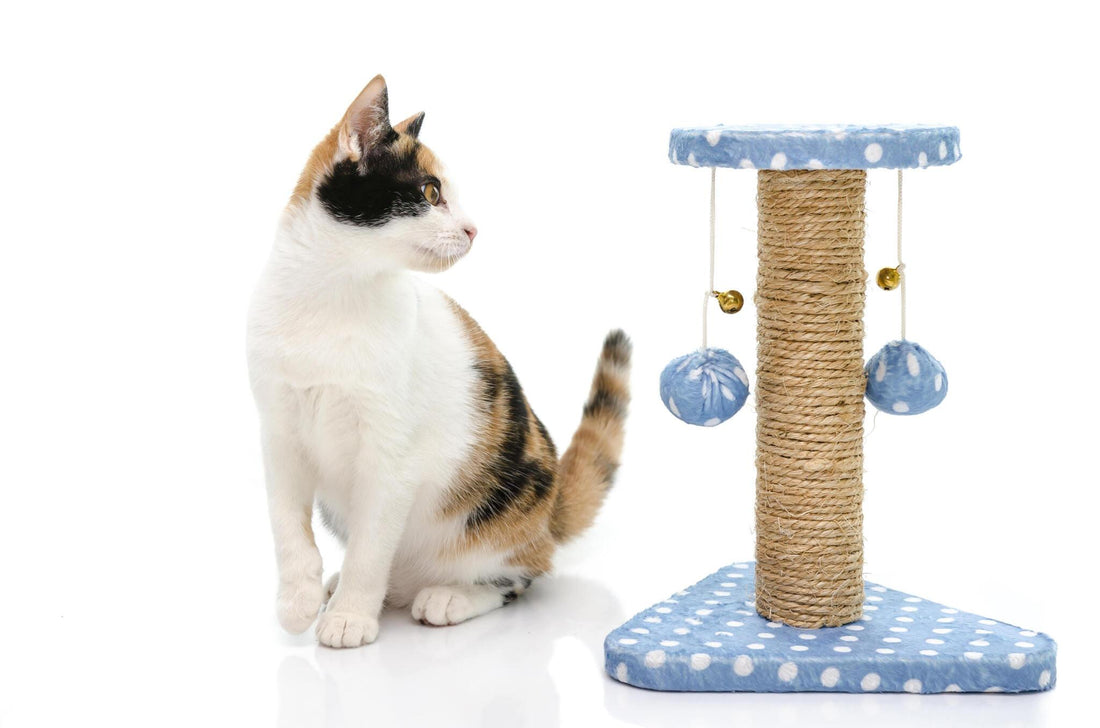 Celebrating International Cat Day with a DIY Cat Tower Project