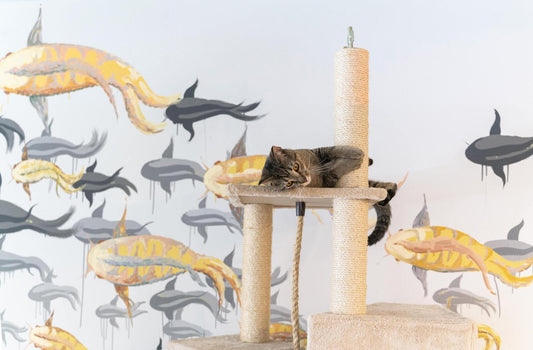 The Best Materials for Cat Trees: A Comprehensive Guide