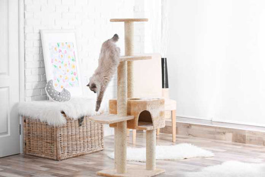 The Ultimate Guide to Choosing the Perfect Cat Tree for Your Feline Friend