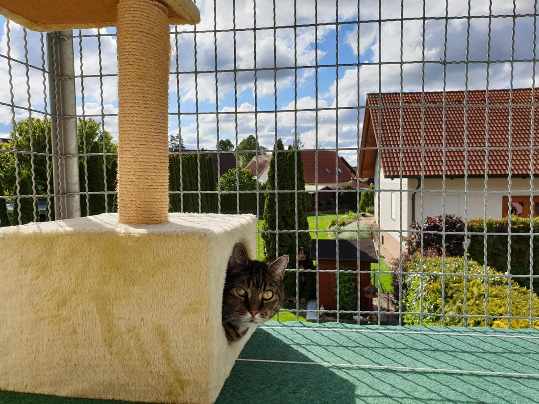 Expert Tips on Maintaining and Cleaning Your Cat Tower