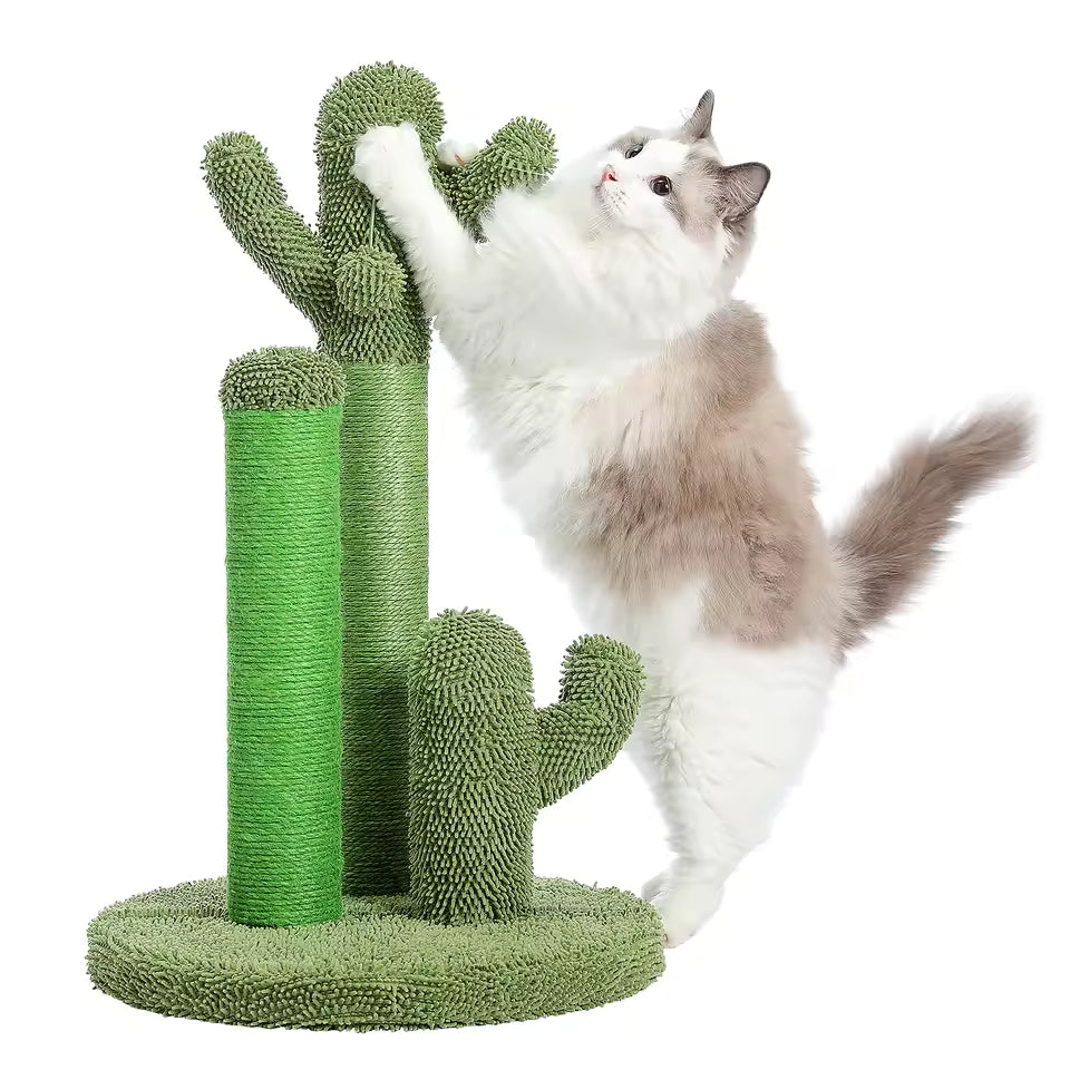 53cm/68.5cm Cactus Cat Scratching Post - Small Cat Tree with Dangling Ball