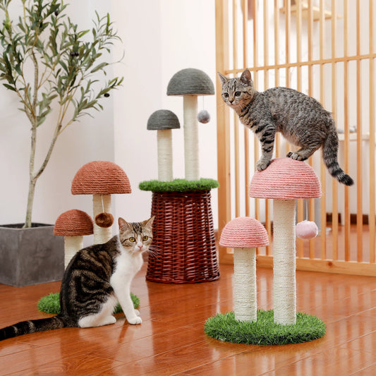 48cm Charming Mushroom-Shaped Cat Tree with Ball Scratcher and Play Features
