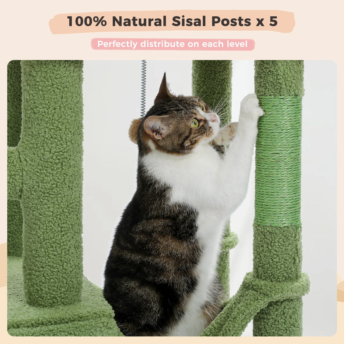 Da Hammo Adjustable 216-285cm Cactus-Themed High Cat Tower with Condo and Hammo ...