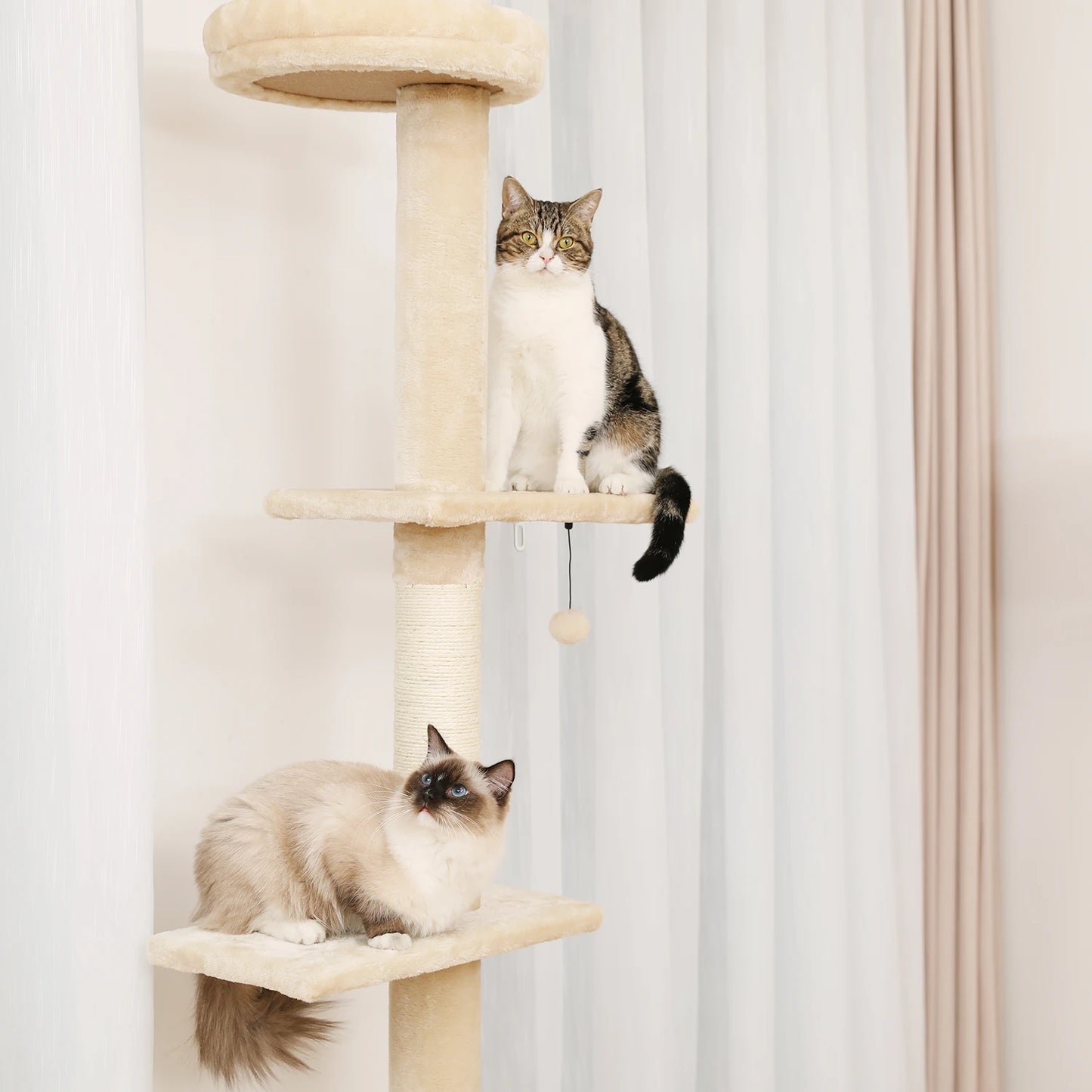 Adjustable Height 228-274cm Elegant Tall Cat Tower