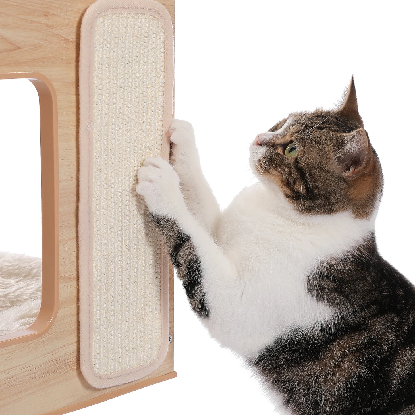 60cm Two-Piece Cat Bed Set with Teaser Toy and Cat House